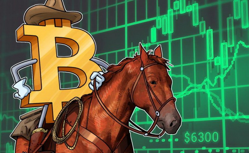 pferderennen wetten quoten für pferdewetten mit bitcoin