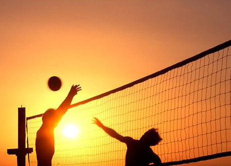 beste volleyball wettanbieter für volleyballwetten