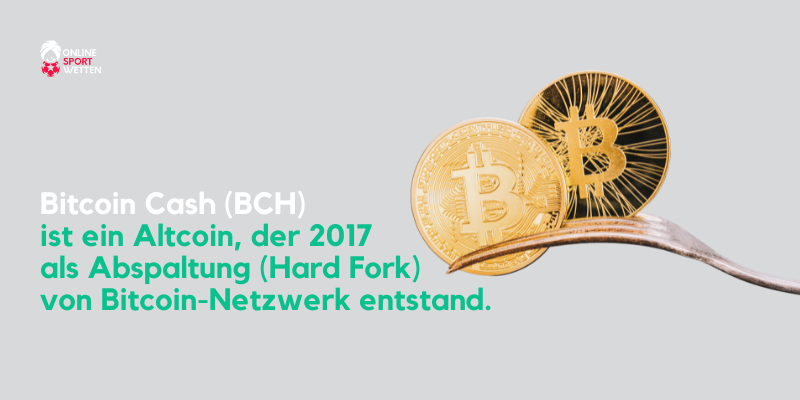 was-ist-bitcoin-cash-bch